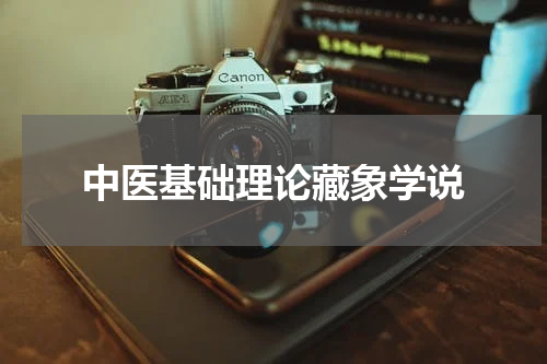 中医基础理论藏象学说