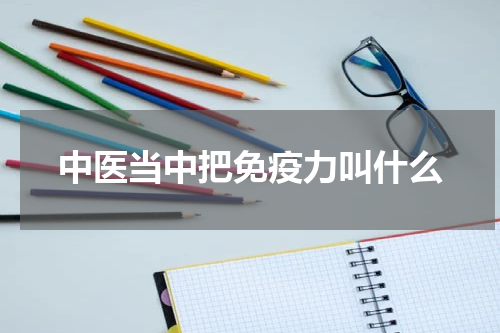 中医当中把免疫力叫什么