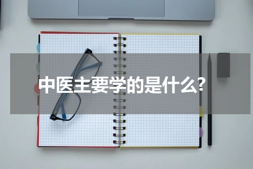 中医主要学的是什么?
