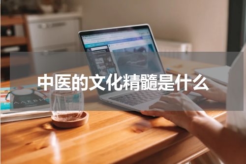 中医的文化精髓是什么