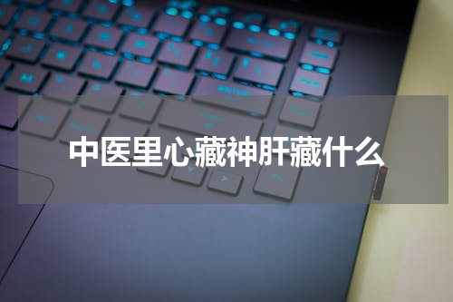 中医里心藏神肝藏什么