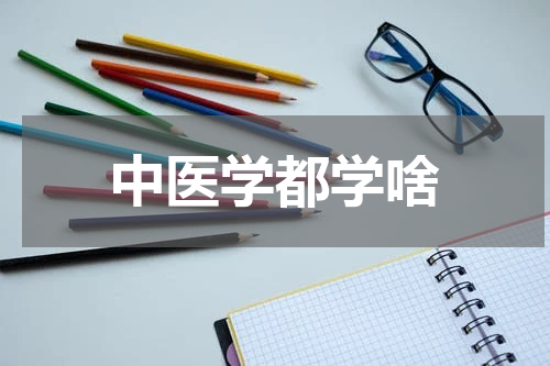 中医学都学啥