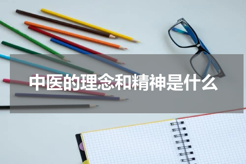 中医的理念和精神是什么