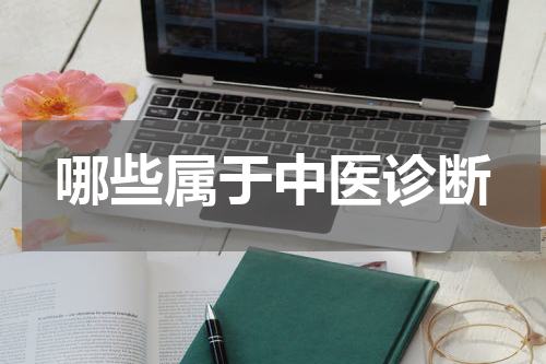 哪些属于中医诊断