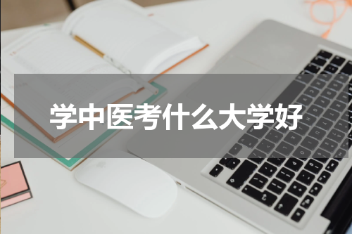 学中医考什么大学好