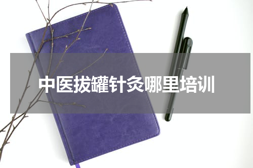 中医拔罐针灸哪里培训