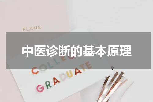 中医诊断的基本原理