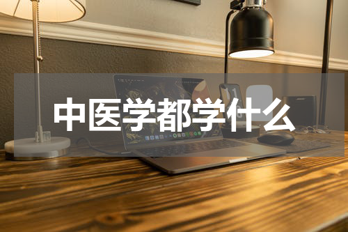 中医学都学什么