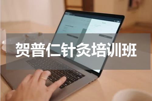 贺普仁针灸培训班
