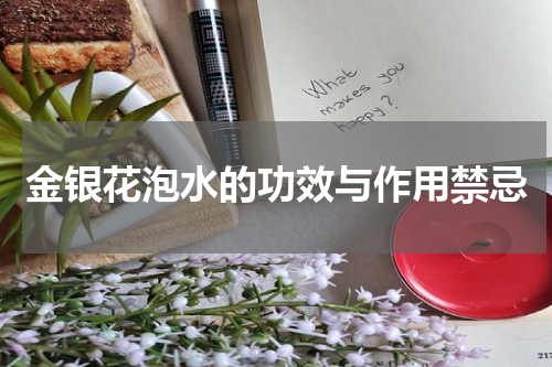 金银花泡水的功效与作用禁忌