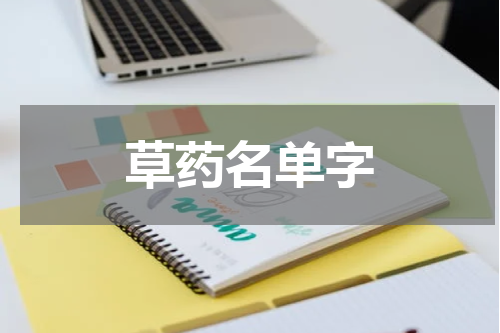草药名单字