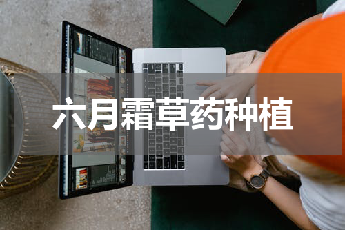 六月霜草药种植