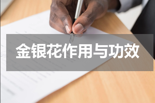 金银花作用与功效