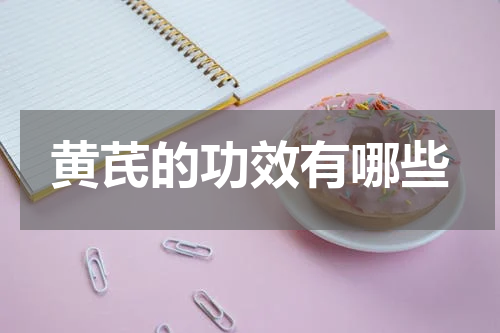 黄芪的功效有哪些