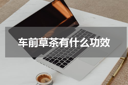 车前草茶有什么功效