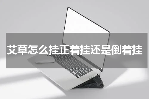 艾草怎么挂正着挂还是倒着挂