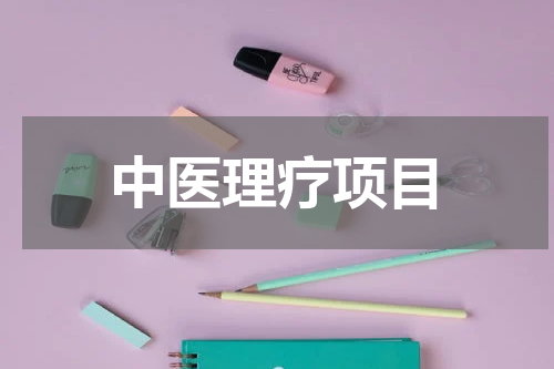 中医理疗项目