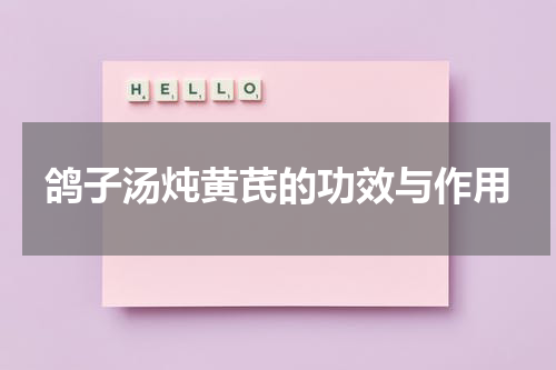 鸽子汤炖黄芪的功效与作用