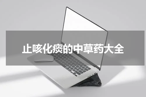止咳化痰的中草药大全