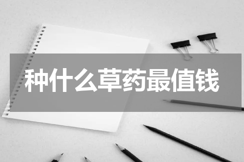 种什么草药最值钱