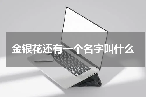 金银花还有一个名字叫什么