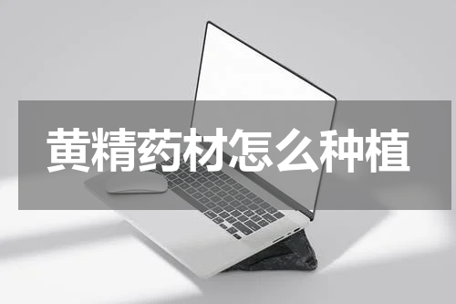 黄精药材怎么种植
