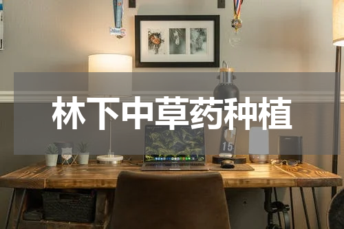 林下中草药种植