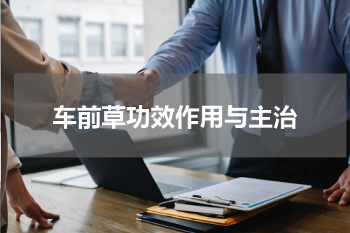 车前草功效作用与主治