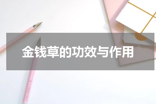 金钱草的功效与作用