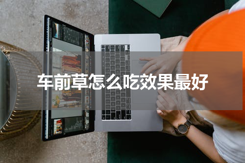 车前草怎么吃效果最好