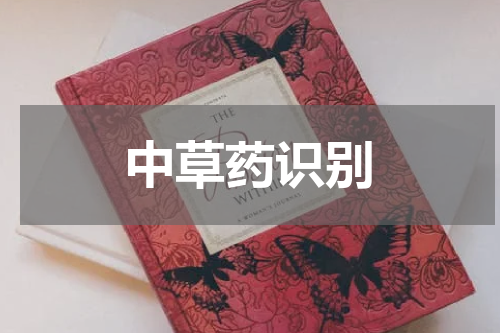 中草药识别