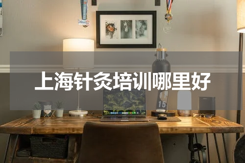 上海针灸培训哪里好
