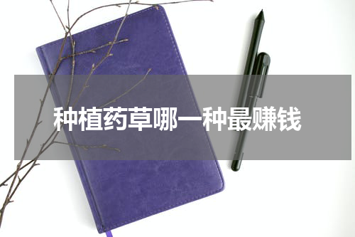 种植药草哪一种最赚钱