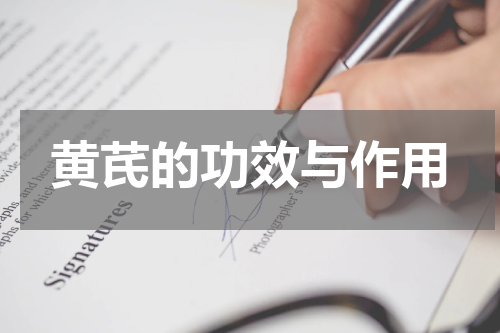 黄芪的功效与作用