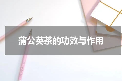 蒲公英茶的功效与作用