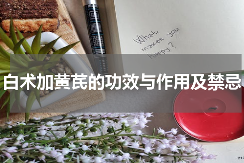 白术加黄芪的功效与作用及禁忌
