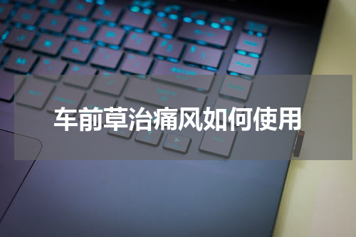 车前草治痛风如何使用