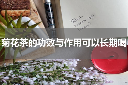 菊花茶的功效与作用可以长期喝