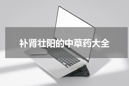 补肾壮阳的中草药大全