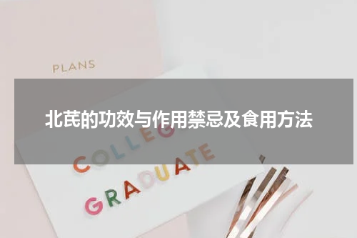 北芪的功效与作用禁忌及食用方法