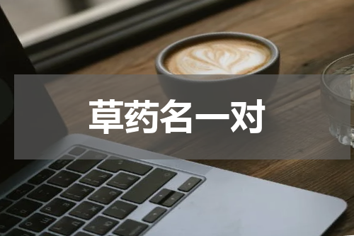 草药名一对