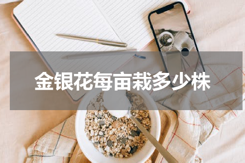 金银花每亩栽多少株