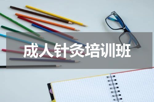 成人针灸培训班