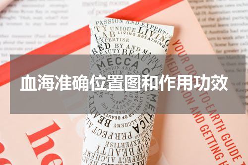 血海准确位置图和作用功效