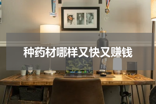 种药材哪样又快又赚钱