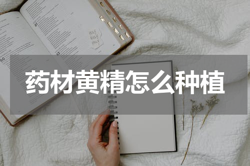 药材黄精怎么种植