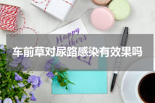 车前草对尿路感染有效果吗