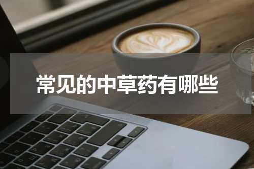 常见的中草药有哪些