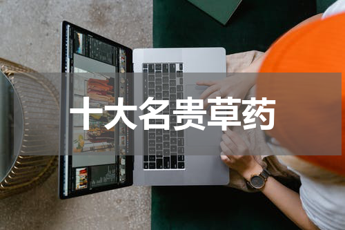 十大名贵草药