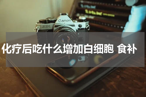 化疗后吃什么增加白细胞 食补